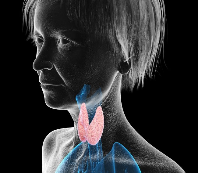 Beitrag_Schilddrüsenszintigrafie